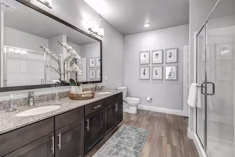Modern bathroom with a large granite countertop featuring two sinks, dark wood cabinets, a large mirror with three light fixtures above it, a white toilet, a glass-enclosed shower, decorative framed artwork on the wall, and a light blue patterned rug on the wooden floor.