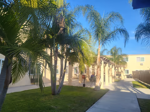 Outdoor walkway at La Mirada Heights with palm trees and green grass on the left side, beige buildings with windows on the right, and a pergola structure along the path under a clear blue sky.