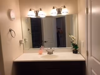 Bathroom vanity with a sink, mirror, three-light fixture, soap dispenser, towel ring, and a small potted orchid.