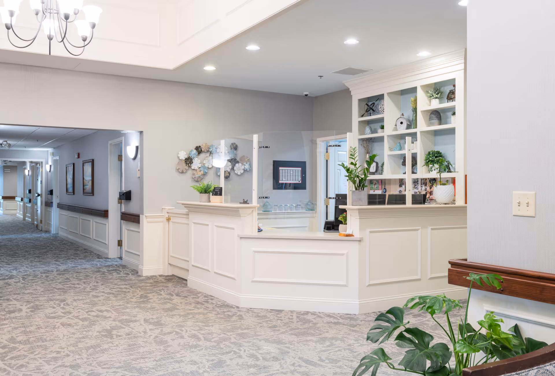 A bright and clean reception area in a senior living facility with a white paneled desk, decorative plants, and shelves with various ornaments. The area is carpeted with a patterned design and has a hallway extending to the left with framed pictures on the walls.