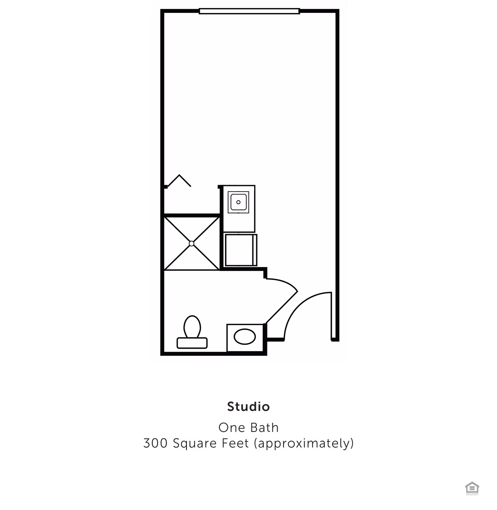 Floor plan of a studio apartment with one bathroom, approximately 300 square feet. The layout shows a bathroom with a toilet, sink, and shower, and an open living space.