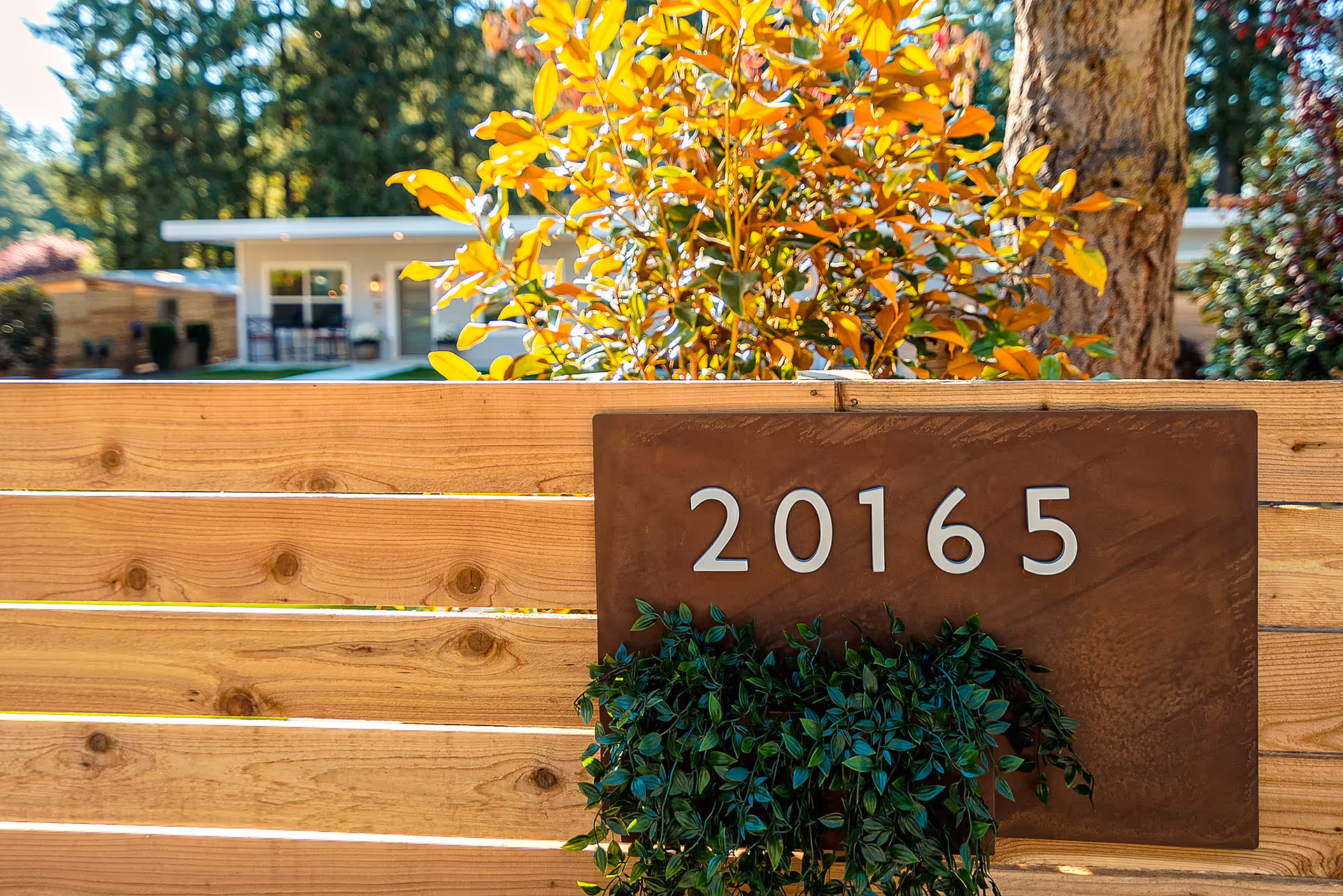 A wooden fence with a brown plaque displaying the number 20165. Behind the fence, there is a small modern building surrounded by trees and plants with autumn-colored leaves.
