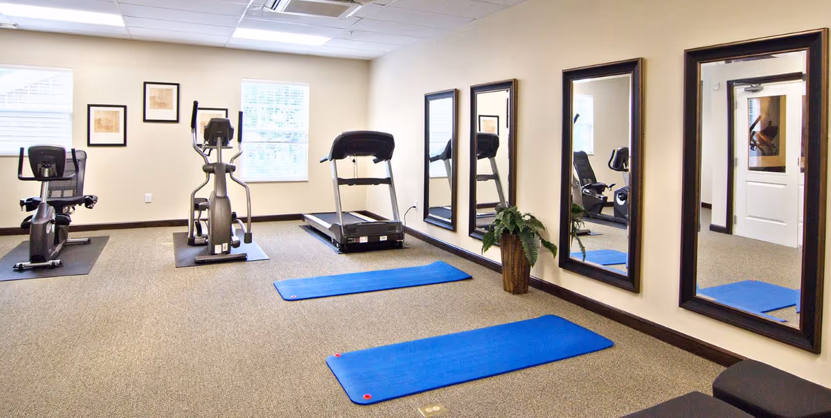 A fitness room with exercise equipment including a recumbent bike, an elliptical machine, and a treadmill. Two blue exercise mats are placed on the carpeted floor. The room has beige walls with four large mirrors and a potted plant between the mirrors. There are two windows letting in natural light and a white door with a window.