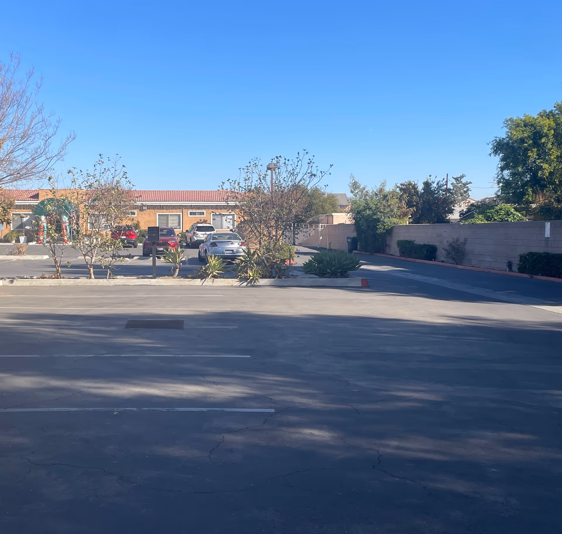 A wide parking lot in front of a low single-story building with parked cars, trees, and a clear blue sky.