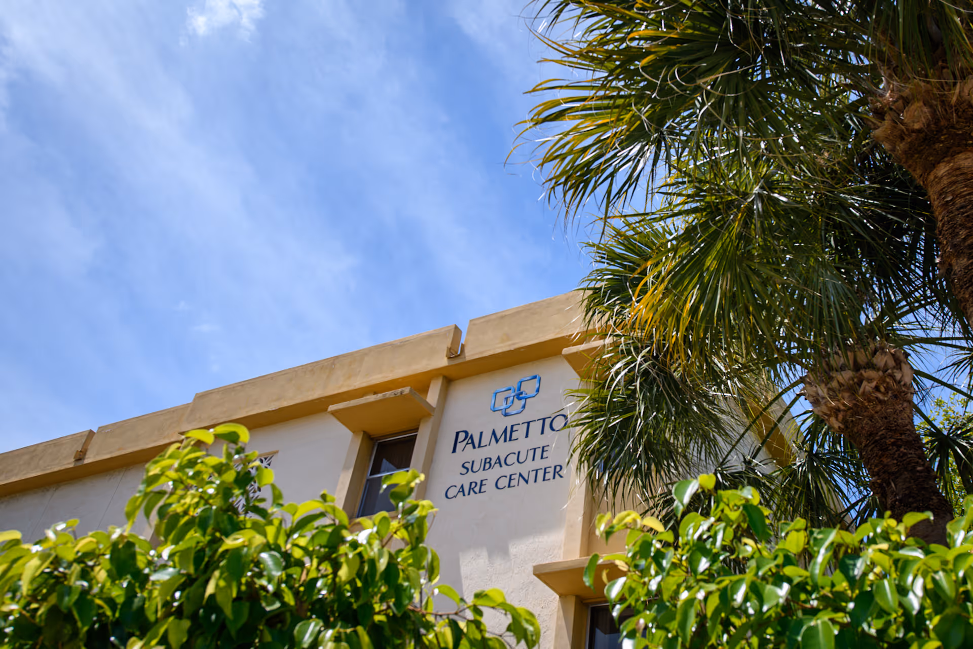 Exterior view of the Palmetto Subacute Care Center building with a clear blue sky, palm trees, and green foliage in the foreground.