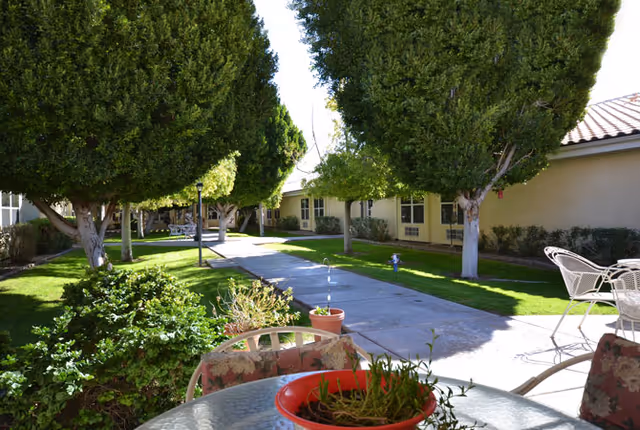 Outdoor patio area at Avista Senior Living Yuma with a glass table and chairs in the foreground, potted plants on the table, a paved walkway lined with neatly trimmed trees and green grass, and single-story buildings in the background under a clear sky.