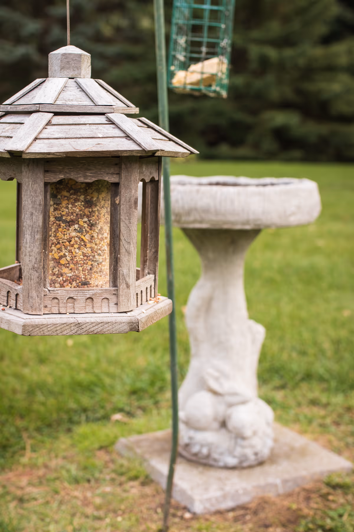 A wooden bird feeder filled with birdseed hanging outdoors with a stone birdbath in the background on a grassy lawn.