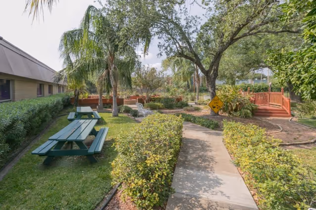 Outdoor garden area at Alta Vista Rehabilitation & Healthcare featuring a paved walkway bordered by green bushes, picnic tables, palm trees, other greenery, and a wooden bridge in the background under a partly cloudy sky.