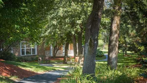 Shaded walkway winds through a manicured lawn toward the entrance of Atria Park of Glen Ellyn.