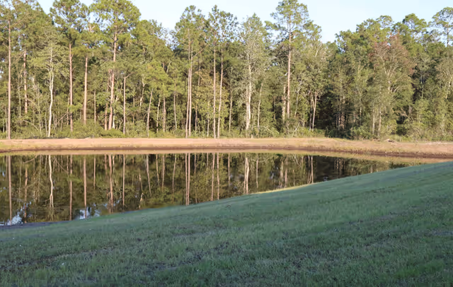 A serene outdoor scene featuring a small pond with clear water reflecting tall pine trees and surrounding greenery, bordered by a grassy slope under a clear sky.