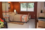 A single hospital-style bed with patterned bedding in a private room with a large window, a small bedside table with a lamp, a chair, a small table with a plant, and a curtain divider partially visible on the left side.