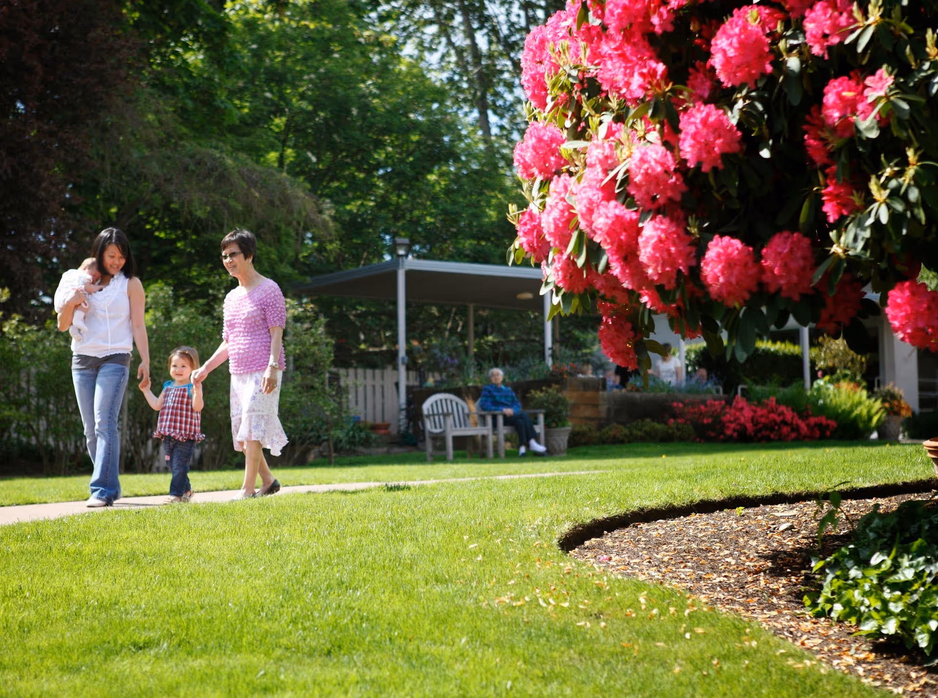 A woman holding a baby, a young child, and an elderly woman walking together on a pathway in a garden with green grass and vibrant pink flowers in the foreground. In the background, an elderly person is sitting on a bench under a shaded area surrounded by trees and plants.