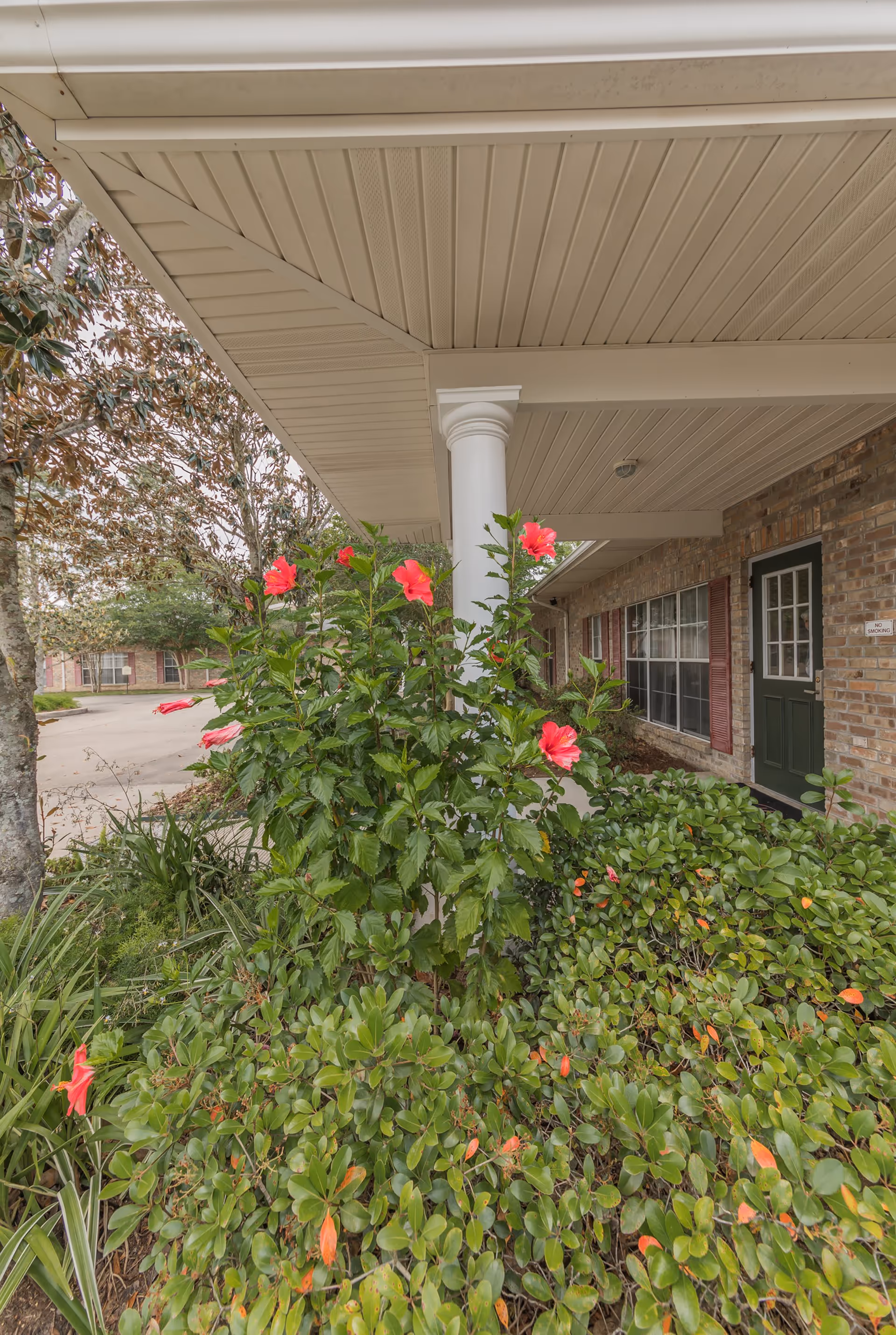 Covered porch area of a brick building with a green door and windows with red shutters. In front of the porch, there are green bushes and a flowering plant with bright red flowers. A white column supports the porch roof, and a tree is visible to the left.