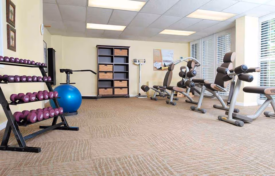 Carpeted fitness room with a rack of purple dumbbells, exercise machines, and a blue stability ball.