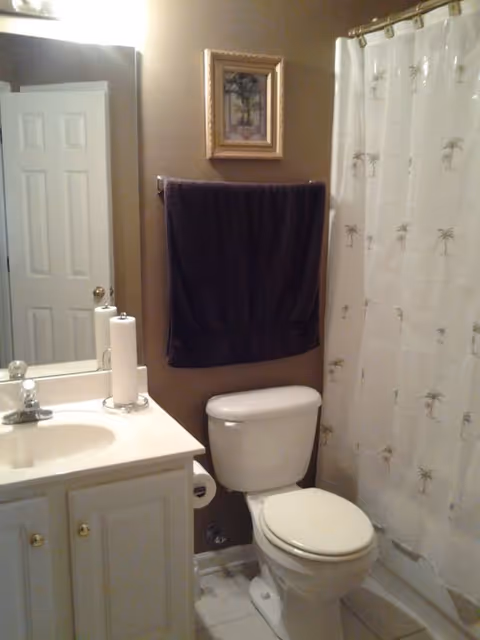 A small bathroom with a white toilet, a white sink with a cabinet underneath, a mirror above the sink, a dark towel hanging on the wall, a framed picture above the towel, and a shower with a curtain featuring a palm tree pattern.