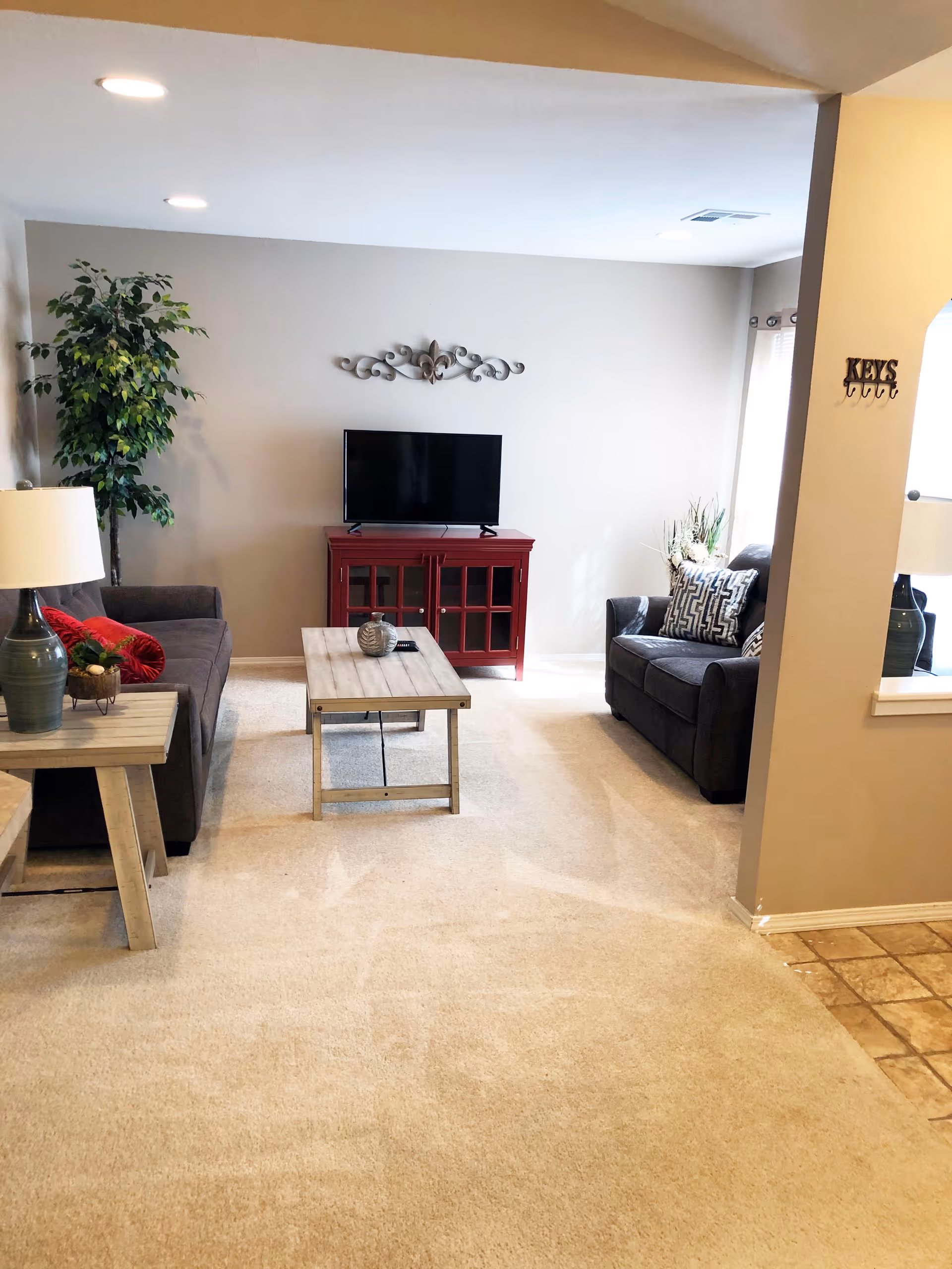 A cozy living room with beige carpet, two dark gray sofas facing each other, a wooden coffee table in the center, a red TV stand with a flat-screen TV on top, a tall green plant in the corner, and a decorative wall piece above the TV. There is a side table with a lamp and decorative items on the left, and a wall-mounted key holder on the right near an open window-like cutout to another room.