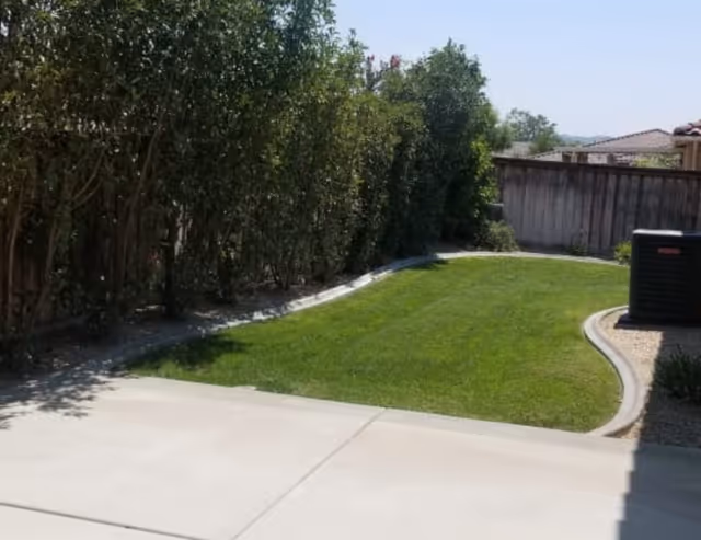 A small outdoor area with a well-maintained green lawn bordered by a concrete pathway and tall bushes along a wooden fence. There is a concrete patio in the foreground and a large black utility box on the right side near the fence.