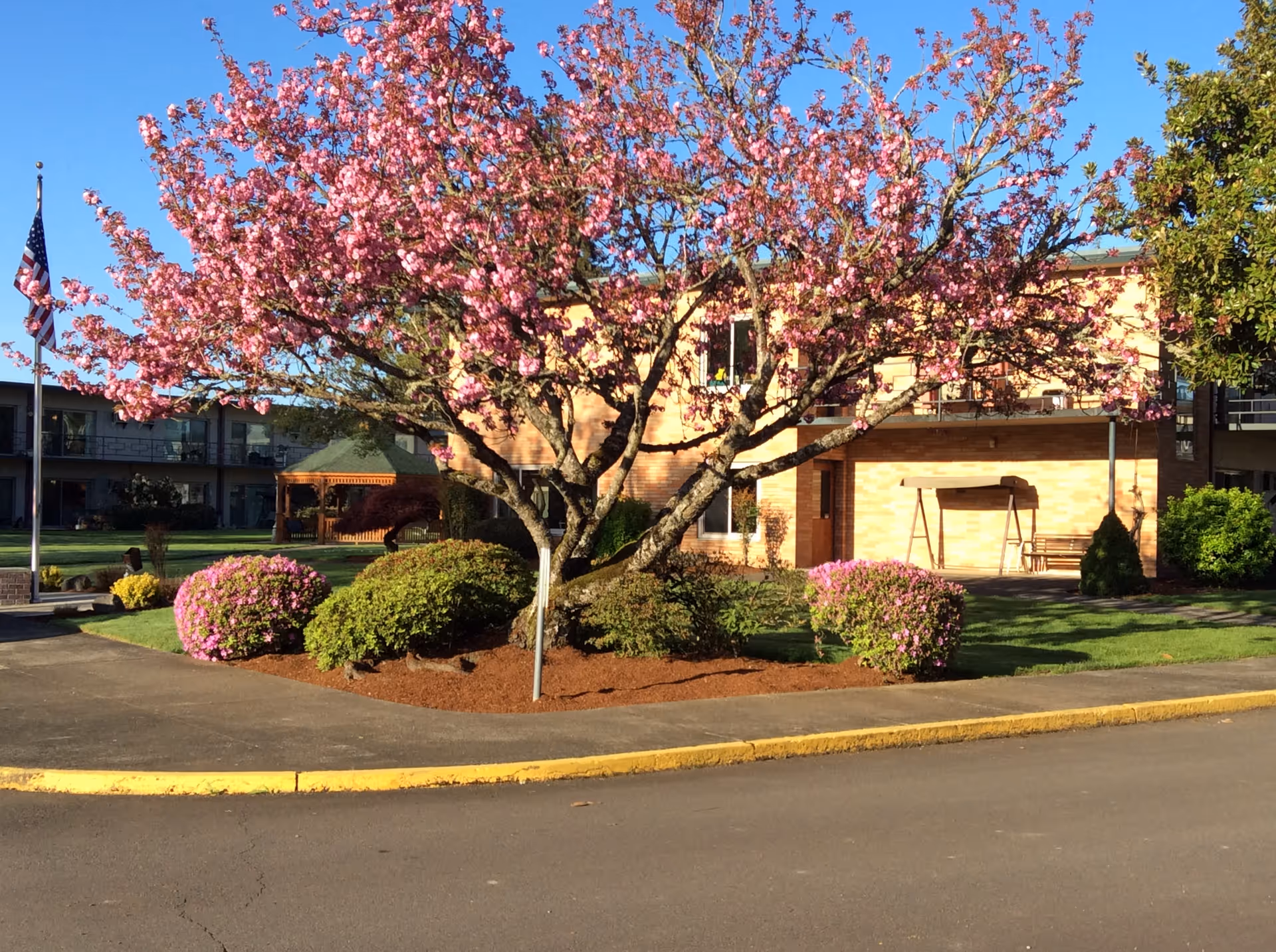 A landscaped outdoor area at Willamette Lutheran Retirement featuring a blooming pink cherry blossom tree surrounded by green bushes and flowering shrubs. In the background, there is a two-story building with balconies and a wooden swing bench under a covered patio. An American flag is visible on a flagpole to the left.