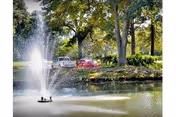 A pond with a water fountain spraying water upwards, surrounded by trees and greenery. In the background, there are parked cars and a grassy area.