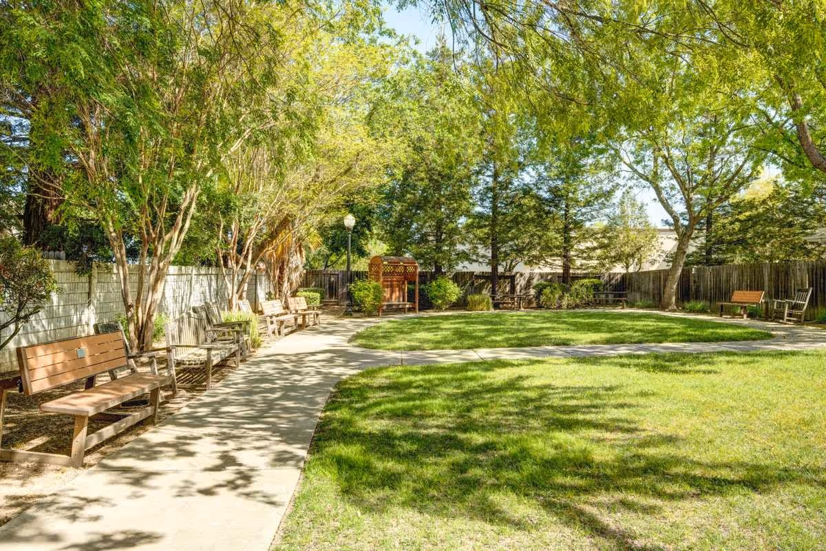 A sunny outdoor garden area with a curved concrete pathway lined with wooden benches on the left side. The area is surrounded by trees and greenery, with a wooden fence in the background and a small wooden gazebo or structure visible in the distance.