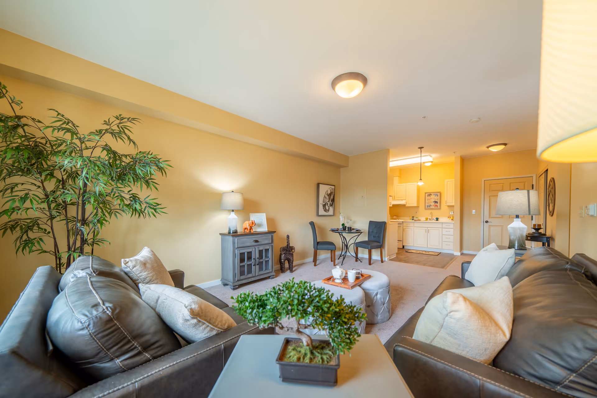 A cozy senior living room with two dark leather sofas adorned with light-colored pillows, a small table with a potted plant in the foreground, a side table with a lamp and decorative items, a small dining area with two chairs and a round table, and a kitchen with white cabinets in the background. The walls are painted a warm beige color and the room is well-lit with ceiling lights and lamps.