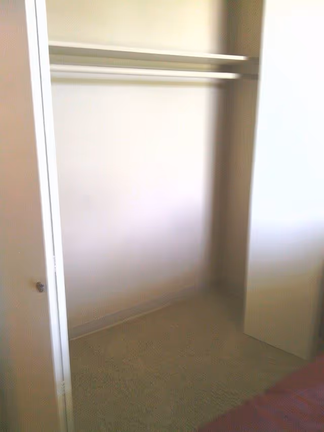 Empty closet with a hanging rod and shelf inside a room with beige carpet and white walls.