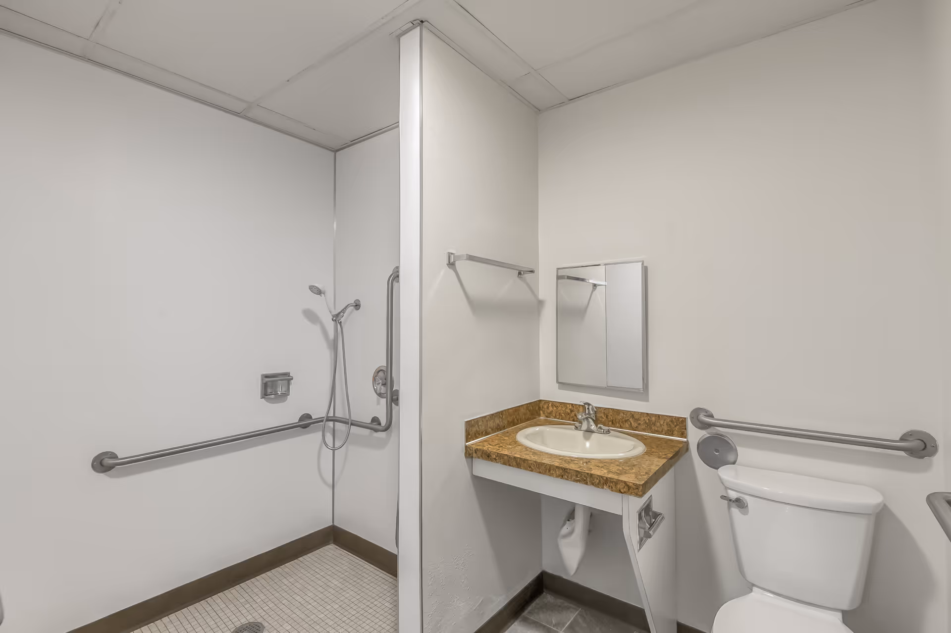 A clean, accessible bathroom with a walk-in shower equipped with grab bars, a sink with a brown countertop and a small mirror above it, and a toilet with grab bars on the wall beside it.