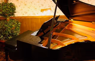 Open grand piano in a wood-paneled room with a potted plant and floral wallpaper.