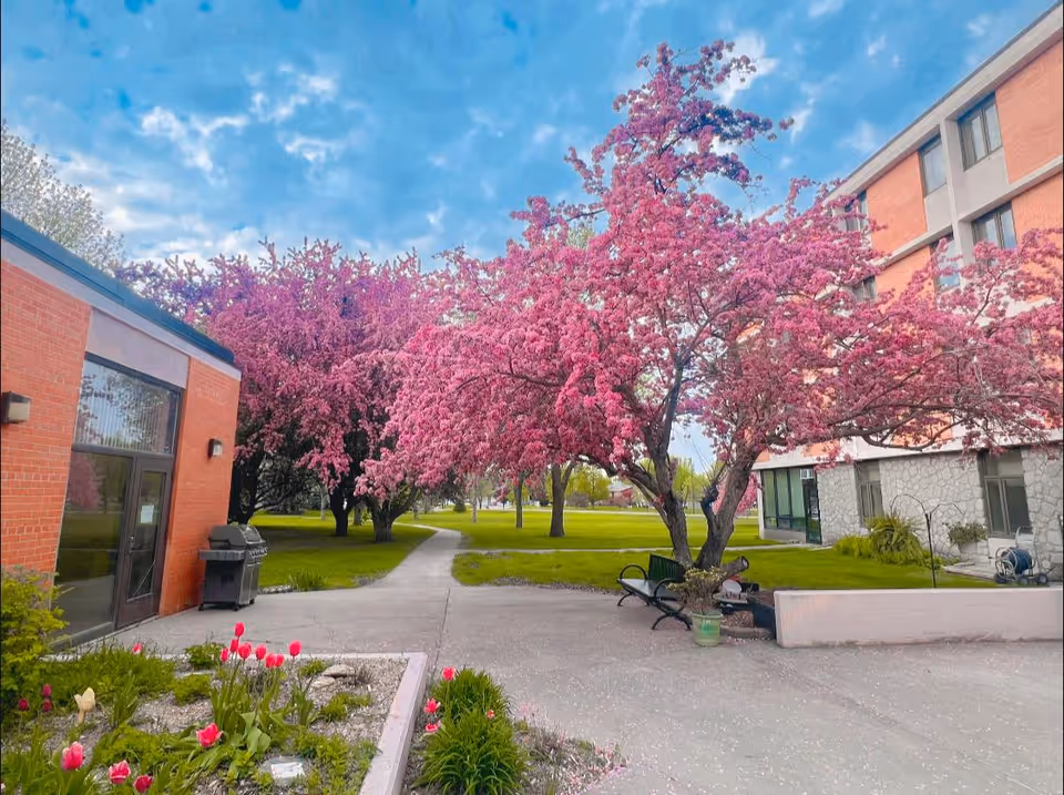 Outdoor area of Riverview Place featuring a paved walkway surrounded by green grass and blooming pink cherry blossom trees. There are benches under the trees and a building with red brick and large windows on the left side. The sky is partly cloudy with patches of blue.