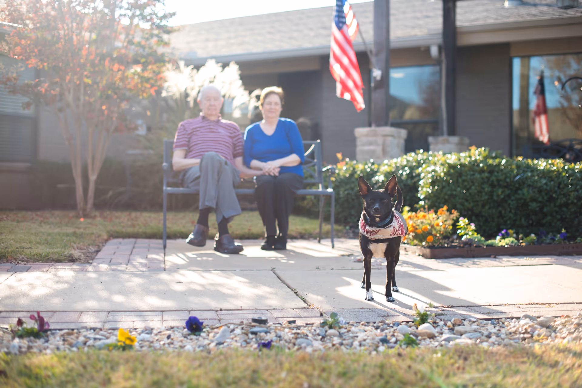 An elderly couple sitting on a bench outside a building with an American flag in the background. A small black dog wearing a sweater stands on the paved walkway in front of them. There are plants and flowers around the walkway and the scene is bathed in sunlight.