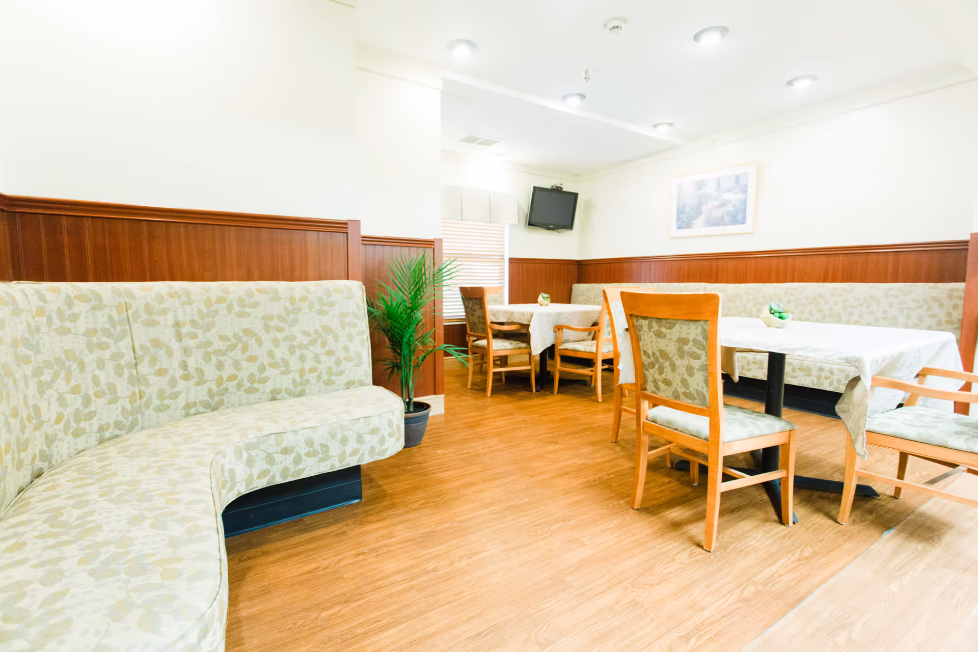 A bright dining area with wooden flooring, light-colored patterned cushioned chairs and benches, tables covered with white tablecloths, a potted plant near the corner, a wall-mounted TV, and a framed picture on the wall.