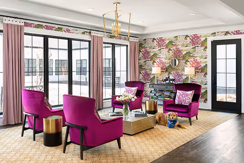 A bright living room with large windows and glass doors letting in natural light. The room features four vibrant purple armchairs arranged around a square coffee table with a vase of flowers. There is a small dog lying on the carpeted floor near the chairs. The walls have floral wallpaper with pink and green patterns, and there are pink curtains on the windows. A modern chandelier hangs from the ceiling, and a console table with a lamp and decorative items is against the wall.