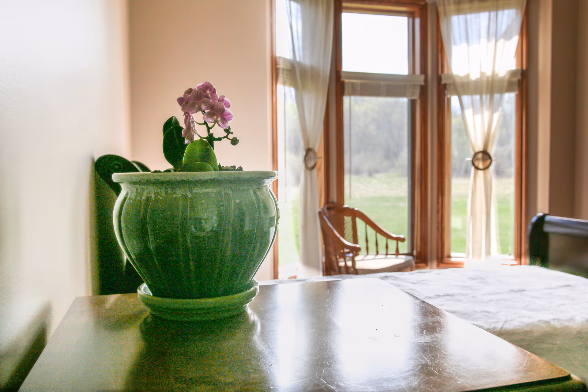 A cozy bedroom with a wooden table in the foreground holding a green ceramic pot with a pink orchid. In the background, there is a bed with a white coverlet, a wooden chair, and large windows with sheer curtains letting in natural light and showing a green outdoor view.