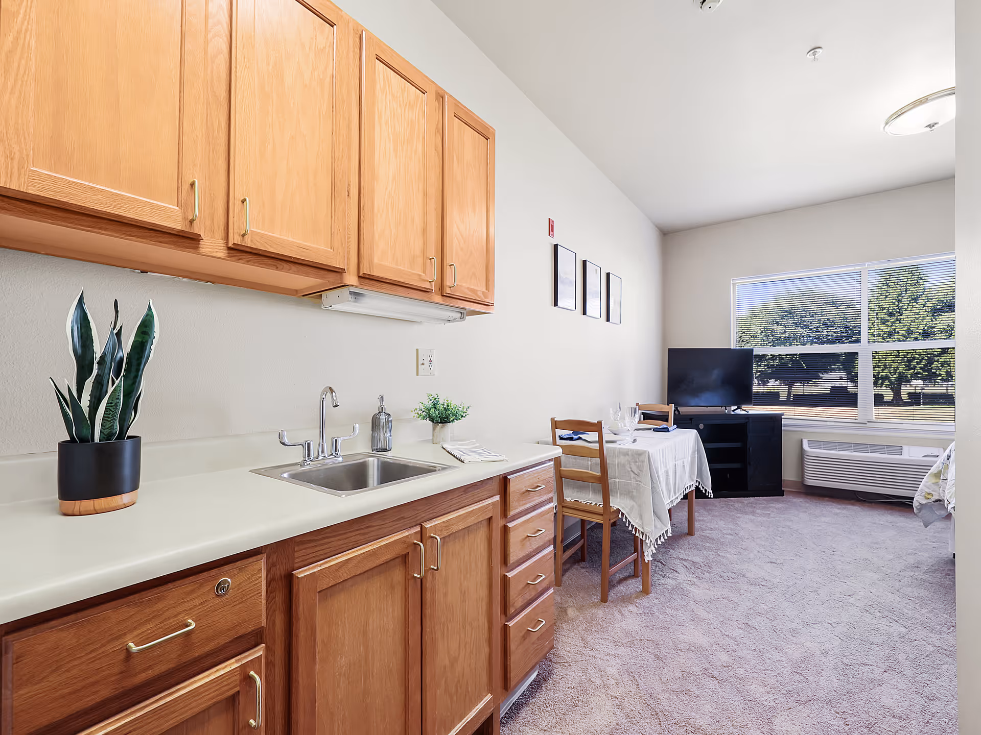Interior view of a senior living facility room showing a kitchenette with wooden cabinets, a sink, and a potted plant on the counter. In the background, there is a small dining table with two chairs, a TV on a stand, a large window with blinds, and a carpeted floor.