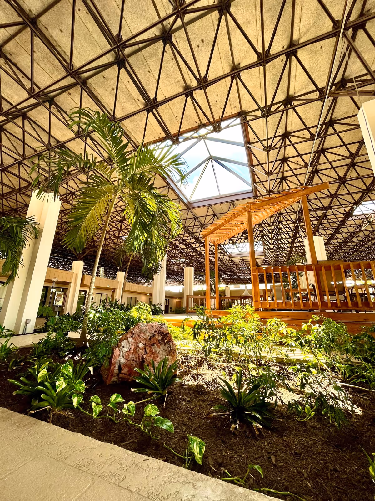 Indoor garden area with various green plants and a large rock under a high ceiling with a geometric metal framework and skylights. There is a wooden pergola structure and surrounding columns in the background.