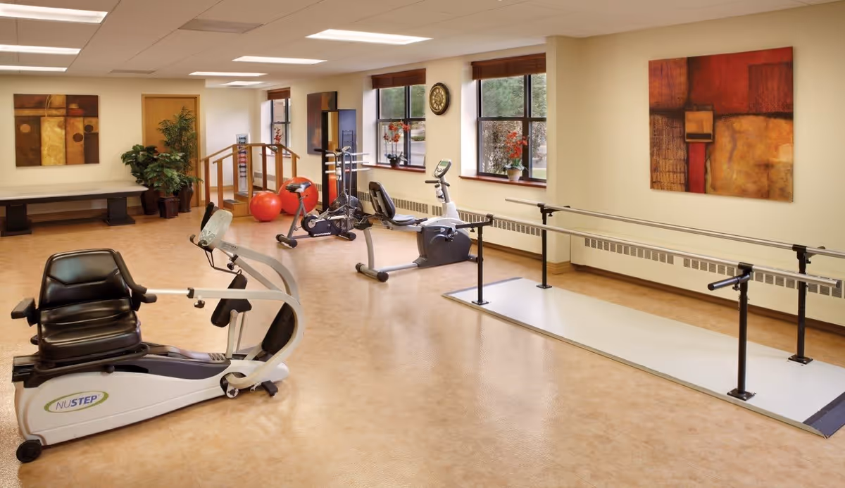 Rehabilitation exercise room with stationary bikes, a recumbent NuStep machine, parallel bars, balance balls, and framed artwork.