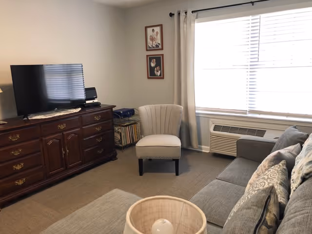 A cozy living room with a gray sectional sofa adorned with patterned pillows, a beige upholstered chair, a wooden cabinet with a flat-screen TV on top, and a window with white blinds and beige curtains. There are framed pictures on the wall and a beige carpet covering the floor.