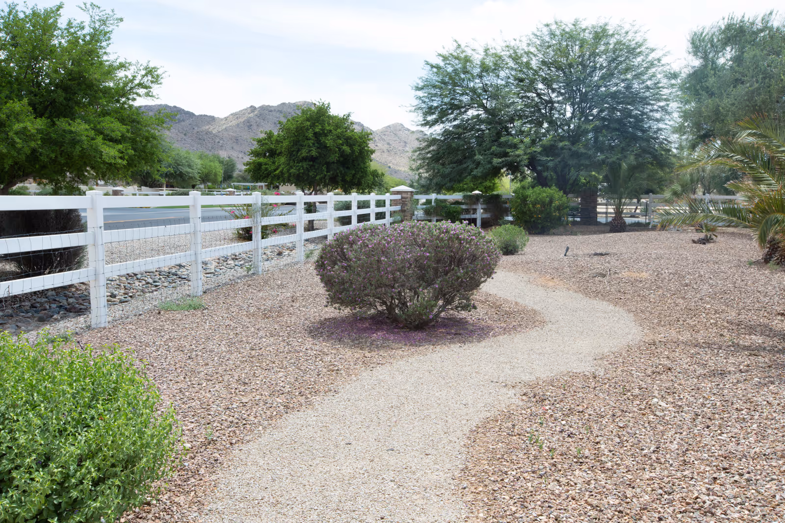 Landscaped gravel outdoor area with a winding pebble path, shrubs, a white fence and trees with mountains in the background.