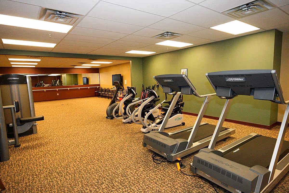 A fitness room with treadmills, ellipticals, and strength equipment against a green wall and mirrored back.