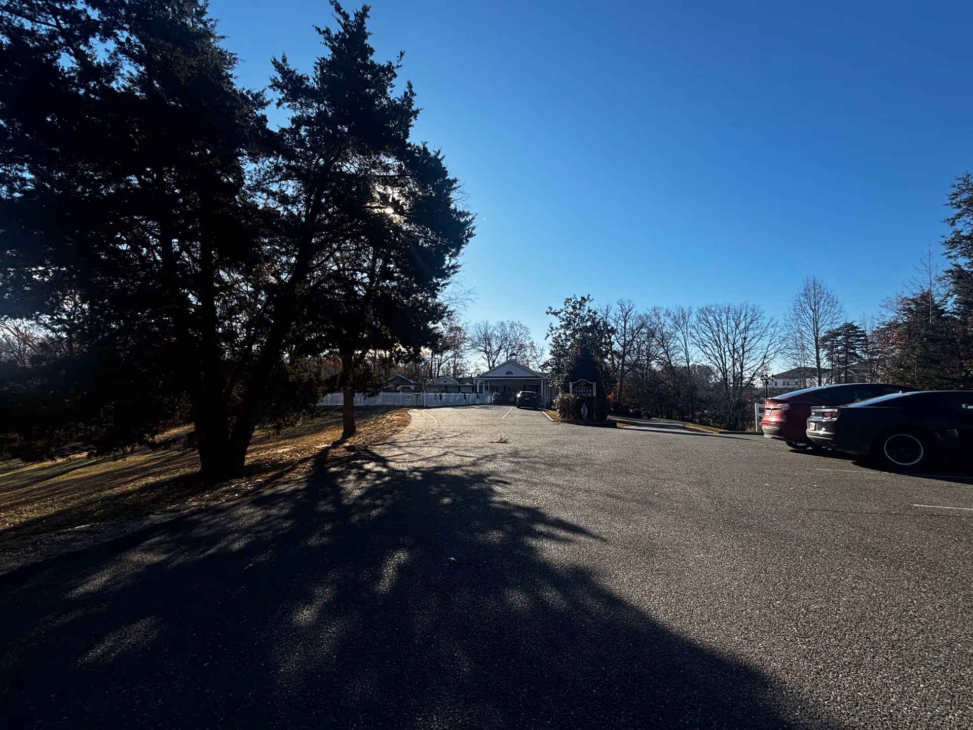 A paved parking area with several parked cars on the right side and large trees casting shadows on the left. In the background, there is a single-story building with a sign near the entrance. The sky is clear and blue.
