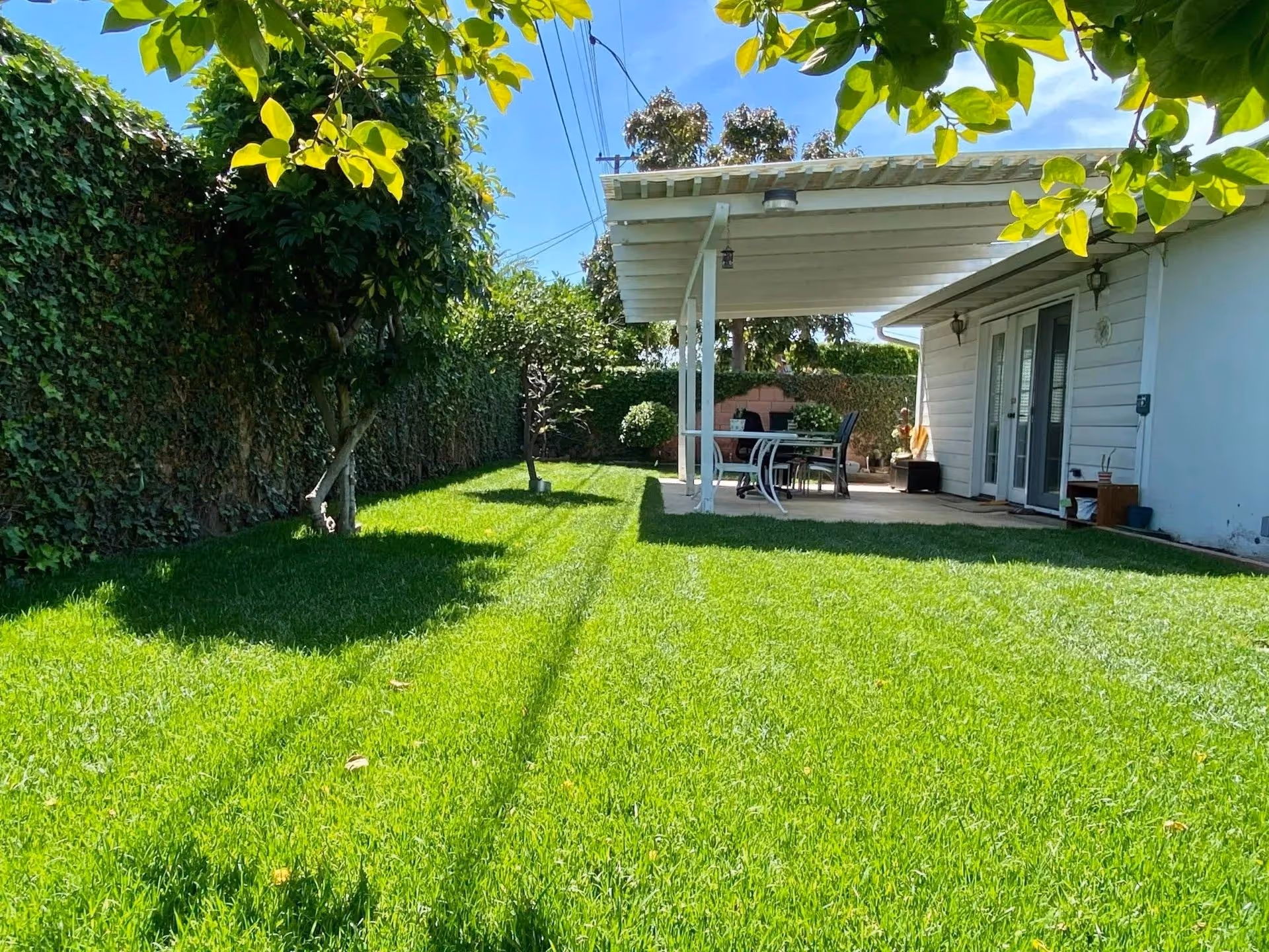 A sunny backyard with a well-maintained green lawn, a covered patio area with a table and chairs, surrounded by trees and a tall hedge fence.
