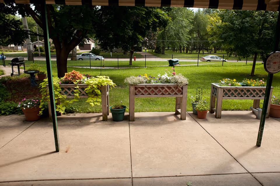 Outdoor patio area with three raised garden beds filled with various plants and flowers. There are additional potted plants on the ground, a large tree providing shade, a barbecue grill, a birdbath, and a thermometer mounted on a pole. In the background, there is a grassy area with trees and a street with parked cars.