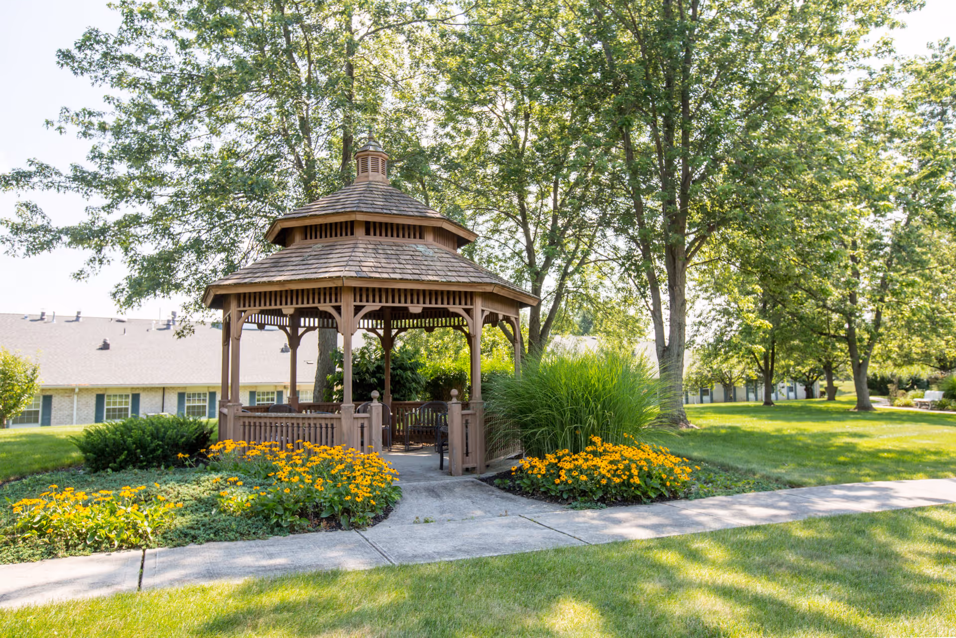 A wooden gazebo surrounded by green grass, yellow flowers, and tall trees in a sunny outdoor garden area with a paved walkway leading to the gazebo.