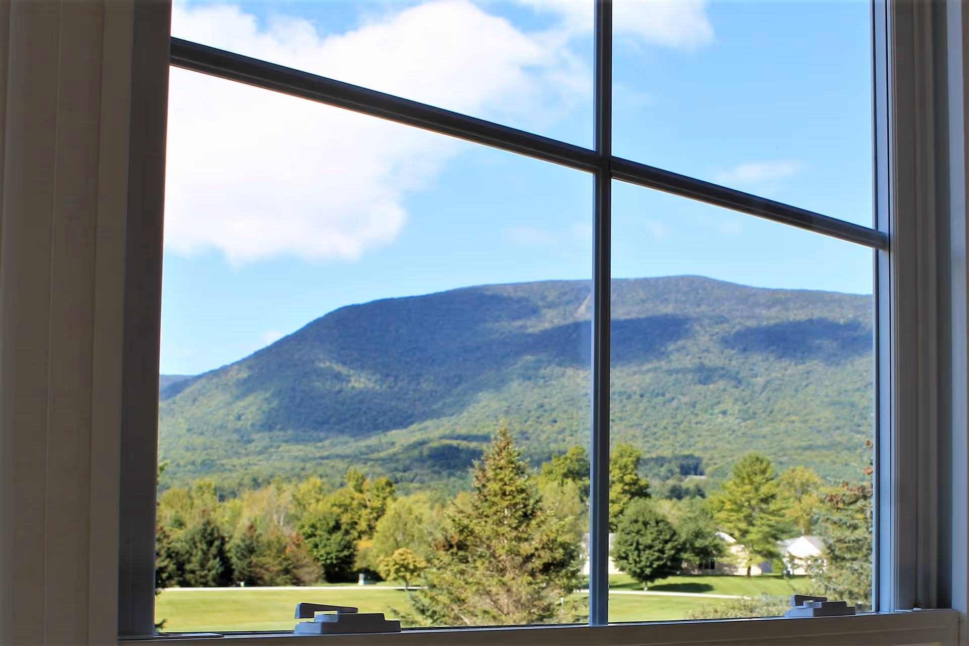 View through a window showing a scenic landscape with green trees, a grassy area, and a mountain under a partly cloudy blue sky.
