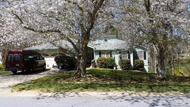 A single-story house with a light green exterior partially obscured by two large trees with white blossoms in the front yard. A red van is parked in the driveway leading to a two-car garage. The lawn is green and well-maintained, and the scene is set on a sunny day.