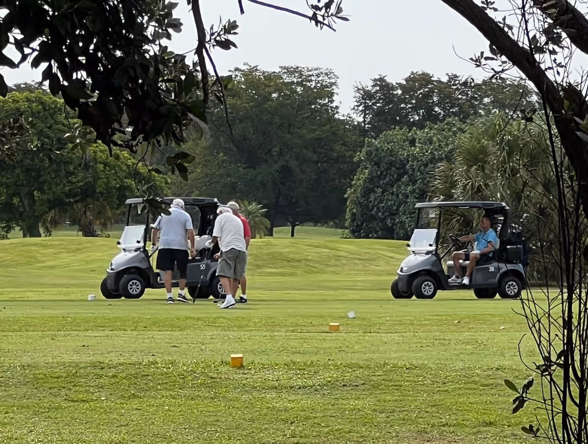 A group of elderly men playing golf on a green golf course with two golf carts nearby. The scene is framed by tree branches and leaves in the foreground, with lush trees and greenery in the background.