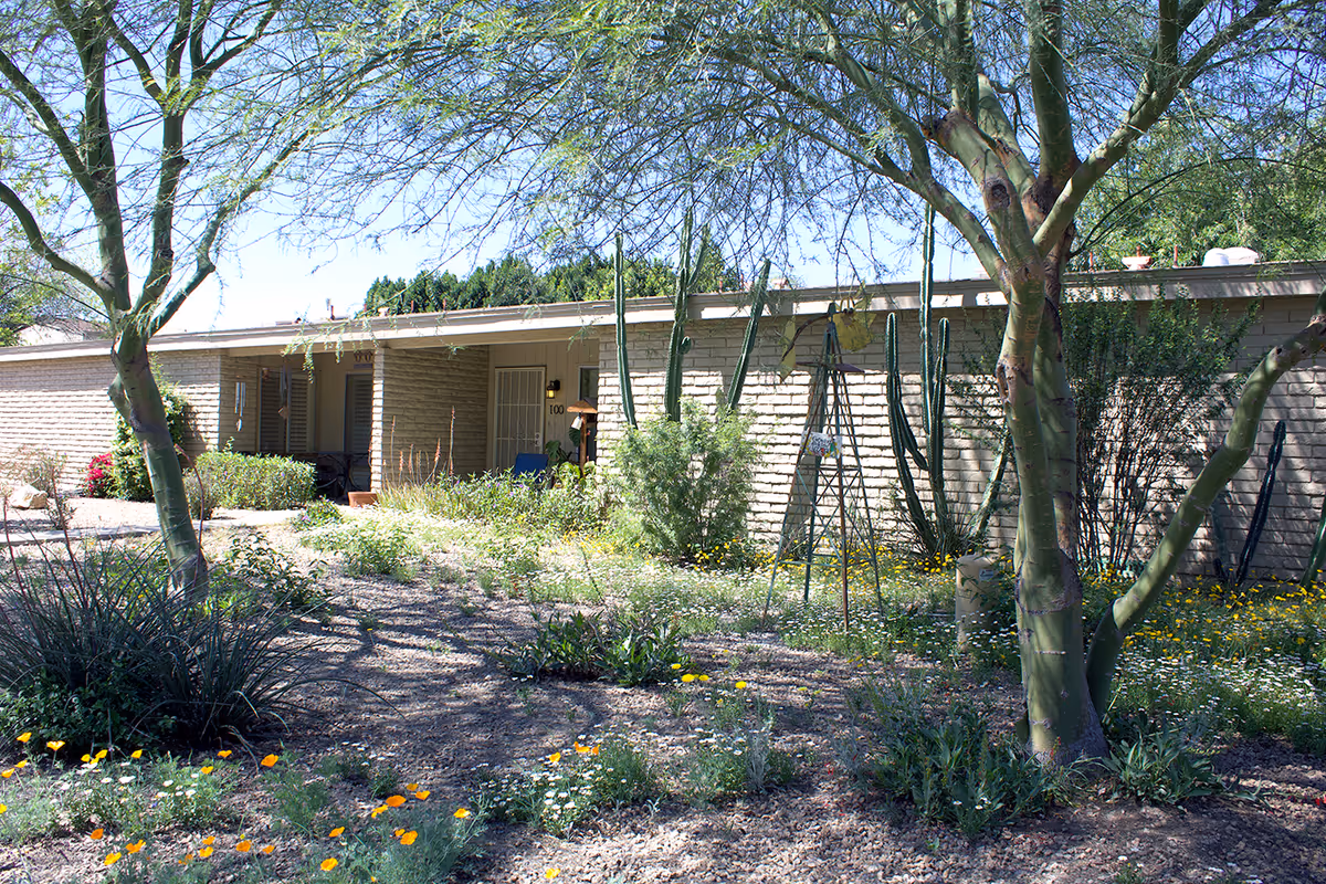 Exterior view of a single-story building with a flat roof, surrounded by desert landscaping including trees, cacti, and flowering plants under a clear blue sky.