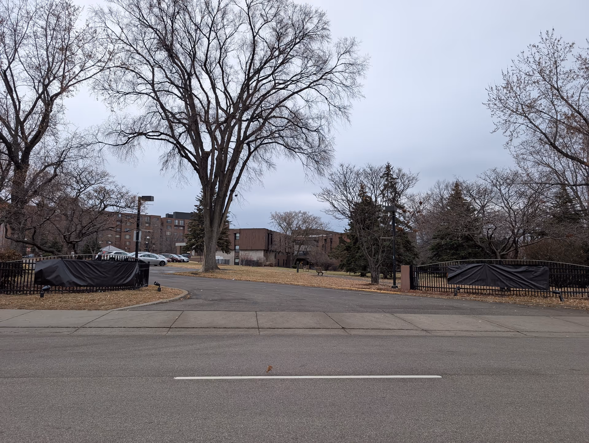 View of the entrance driveway to Saint Therese Senior Living of New Hope, showing a paved road leading into the facility grounds with leafless trees and a multi-story building in the background under an overcast sky.