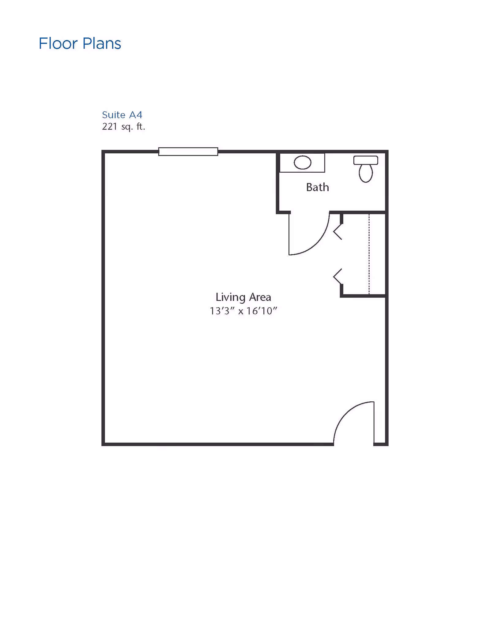 Floor plan of Suite A4 at Brookdale Brookfield Capitol Dr showing a 221 square feet living area measuring 13 feet 3 inches by 16 feet 10 inches, with a small bathroom including a sink and toilet, and a closet space.