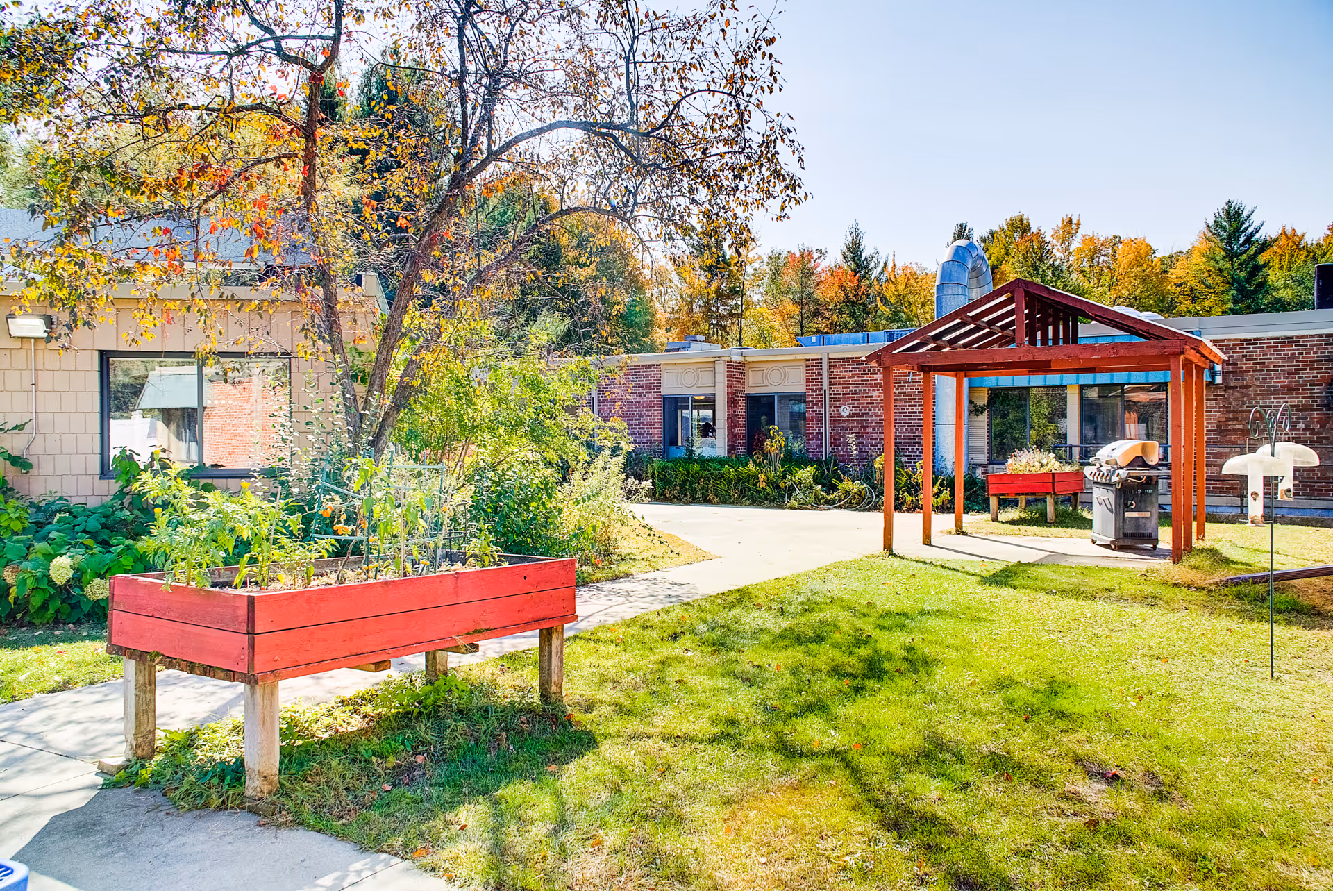 Outdoor garden area at Edenbrook Wisconsin Rapids featuring raised red wooden garden beds with plants, a small wooden pergola with a grill underneath, surrounded by green grass and trees with autumn foliage, and a brick building in the background.